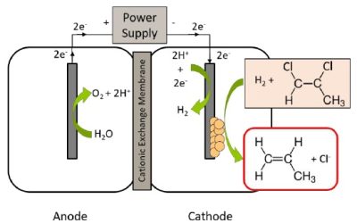 Workshop online su “Degradation of organohalogenated pollutants by the combined application of electrochemical methods and organohalide-respiring bacteria”.