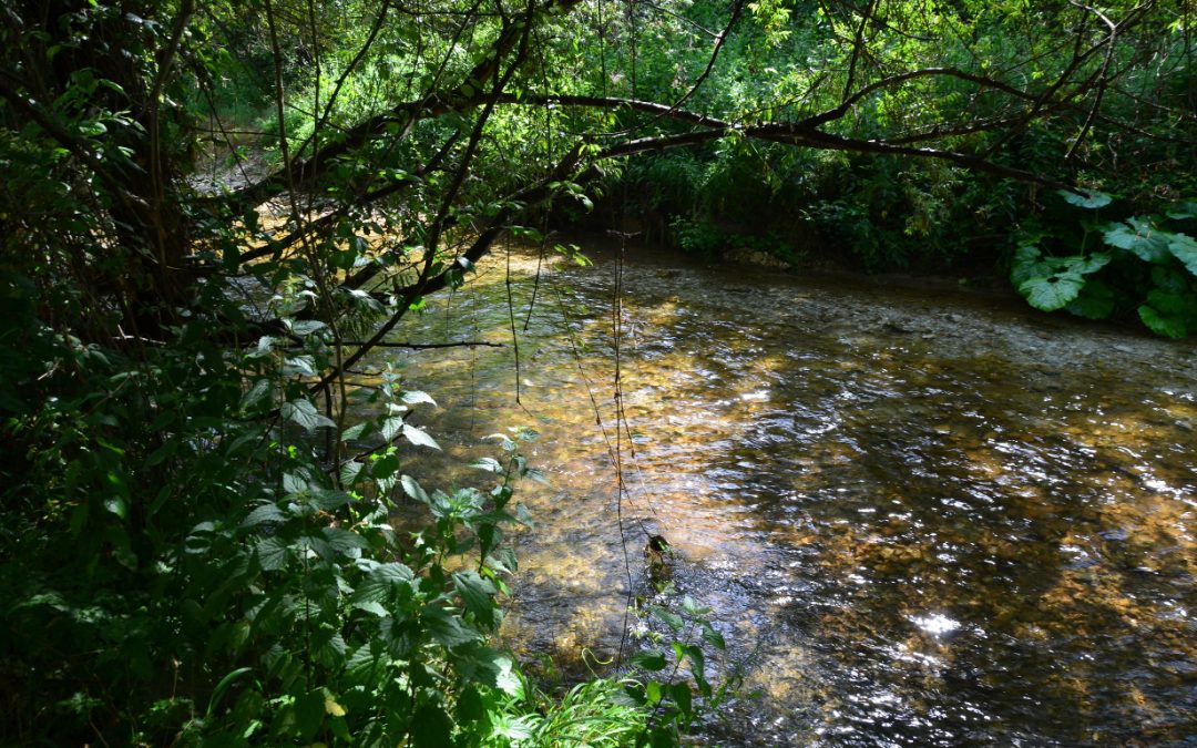 LA NOTTE DELLA RICERCA 2021: IL TREKKING SCIENTIFICO “IL FIUME FARFA IN SABINA – ALLA SCOPERTA DELL’IDROGEOLOGIA E DELL’ECOLOGIA FLUVIALE”.