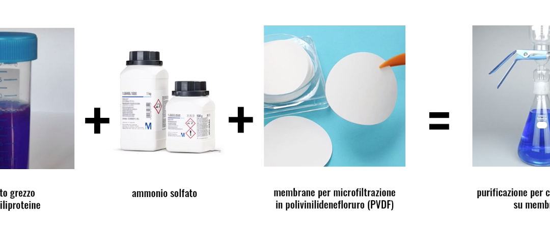 NATURAL BLU – PROCESSI AVANZATI PER LA SEPARAZIONE E PURIFICAZIONE DI FICOBILIPROTEINE.