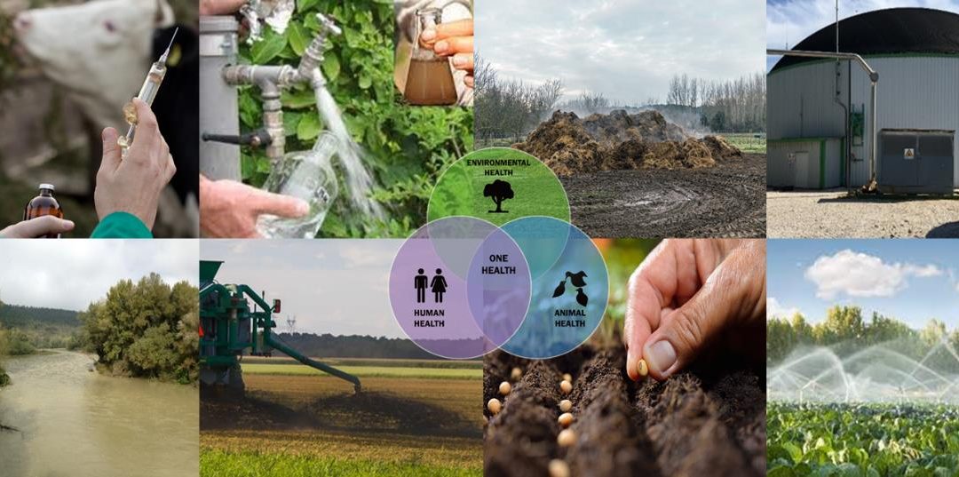 Il CNR-IRSA e il Progetto AZeRO antibiotici: strategie ecosostenibili per contrastare la diffusione degli antibiotici e dell’antibiotico resistenza negli ecosistemi.