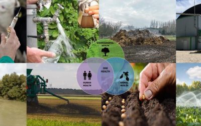 Il CNR-IRSA e il Progetto AZeRO antibiotici: strategie ecosostenibili per contrastare la diffusione degli antibiotici e dell’antibiotico resistenza negli ecosistemi.