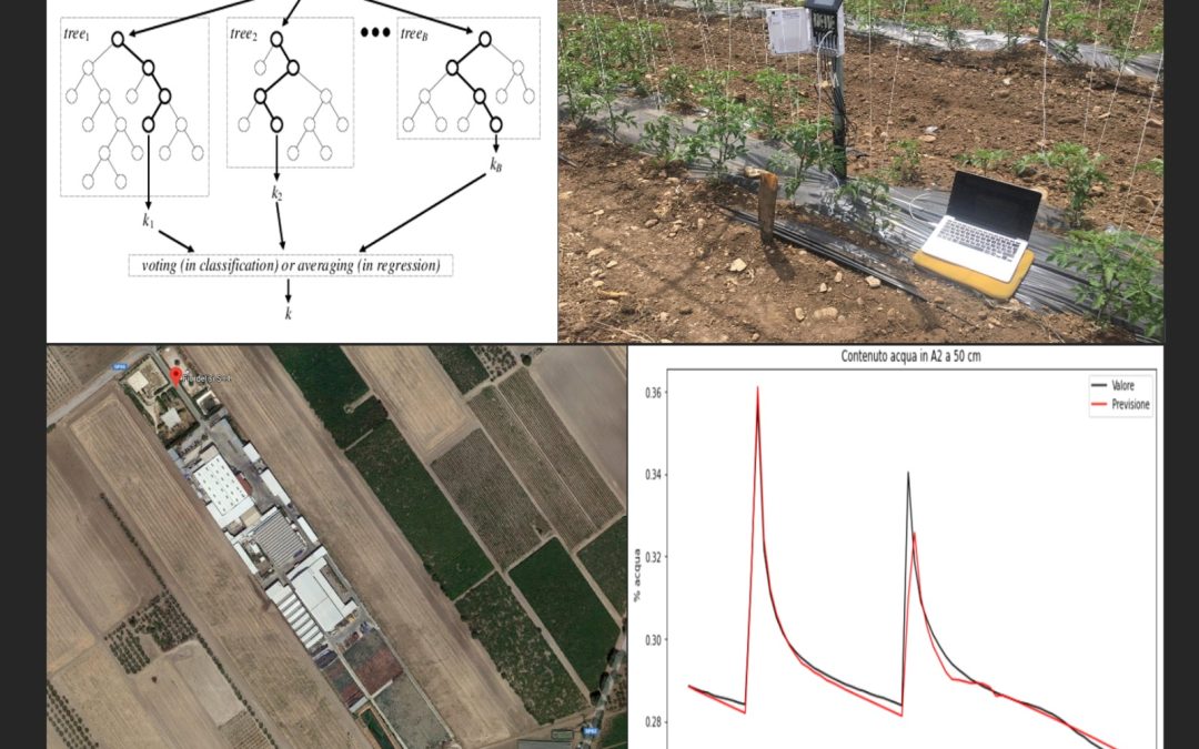 Seminario CNR-IRSA online su: “Introduzione al Machine Learning e applicazioni ad un problema di irrigazione”.