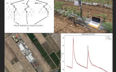 Seminario CNR-IRSA online su: “Introduzione al Machine Learning e applicazioni ad un problema di irrigazione”.