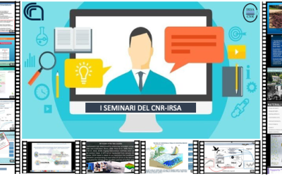 SEMINARI IRSA – TECNICHE DI MODELLAZIONE IDRAULICA.