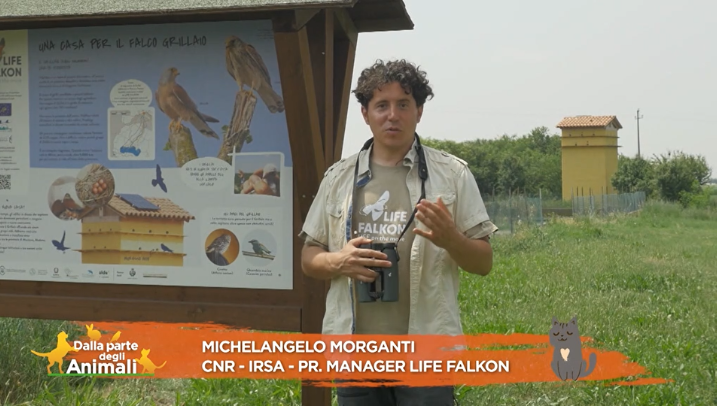 Il CNR-IRSA e il progetto LIFE FALKON a Rete 4.