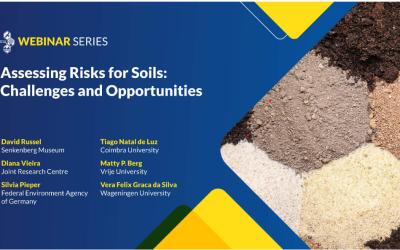 CNR-IRSA co-organizes the webinar “Assessing Risks for Soils: Challenges and Opportunities.