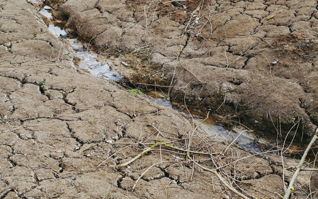 Il CNR-IRSA e il Dipartimento della Protezione Civile presentano strumenti per mitigare le crisi idriche.