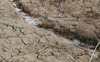 Il CNR IRSA e il Dipartimento della Protezione Civile presentano strumenti per mitigare le crisi idriche