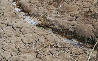 Il CNR-IRSA e il Dipartimento della Protezione Civile presentano strumenti per mitigare le crisi idriche.