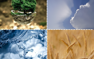 Il CNR-IRSA e il WEF Nexus: il progetto LENSES.