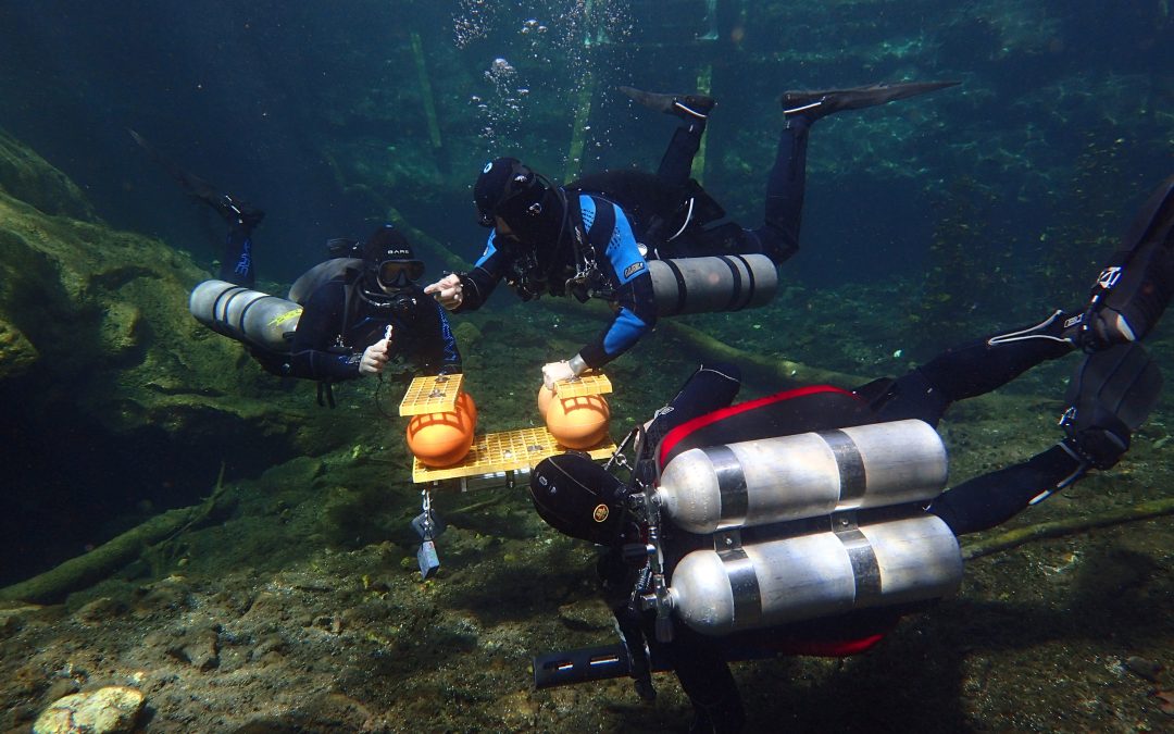 Effetti di un ciclone tropicale su un ecosistema di grotte costiere: implicazioni sulle emissioni di metano e sul ciclo del carbonio.