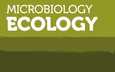 È on line il Thematic Issue dal titolo “Anaerobic Biological Dehalogenation” pubblicato sulla rivista scientifica FEMS Microbiology Ecology.