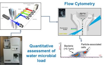 Seminario on-line su “La citometria a flusso nel ciclo integrato delle risorse idriche”.