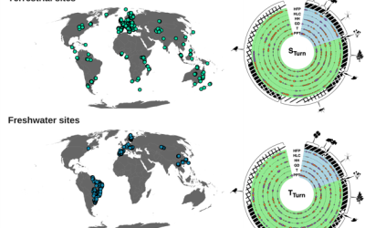 Seminario CNR – IRSA on-line: “From patterns to action: Leveraging beta diversity for ecological understanding and conservation”.