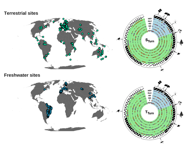 Seminario CNR – IRSA on-line: “From patterns to action: Leveraging beta diversity for ecological understanding and conservation”.