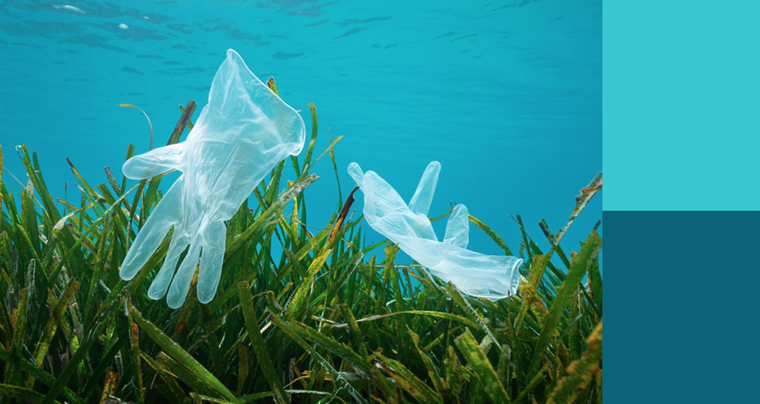 Il CNR-IRSA Guest Editor del Research Topic: ‘Plastisphere in Aquatic Environments: Microbial Diversity, Biofilm Structure, and Implications for Ecosystems and Human Health’.