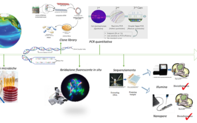 Seminario CNR – IRSA online: “Biomonitoraggio ambientale con approcci di terza generazione: Digital Droplet PCR per la quantificazione di biomarcatori/bioindicatori e tecnologia Nanopore per il sequenziamento”.