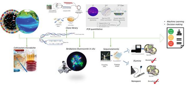 Seminario CNR – IRSA online: “Biomonitoraggio ambientale con approcci di terza generazione: Digital Droplet PCR per la quantificazione di biomarcatori/bioindicatori e tecnologia Nanopore per il sequenziamento”.