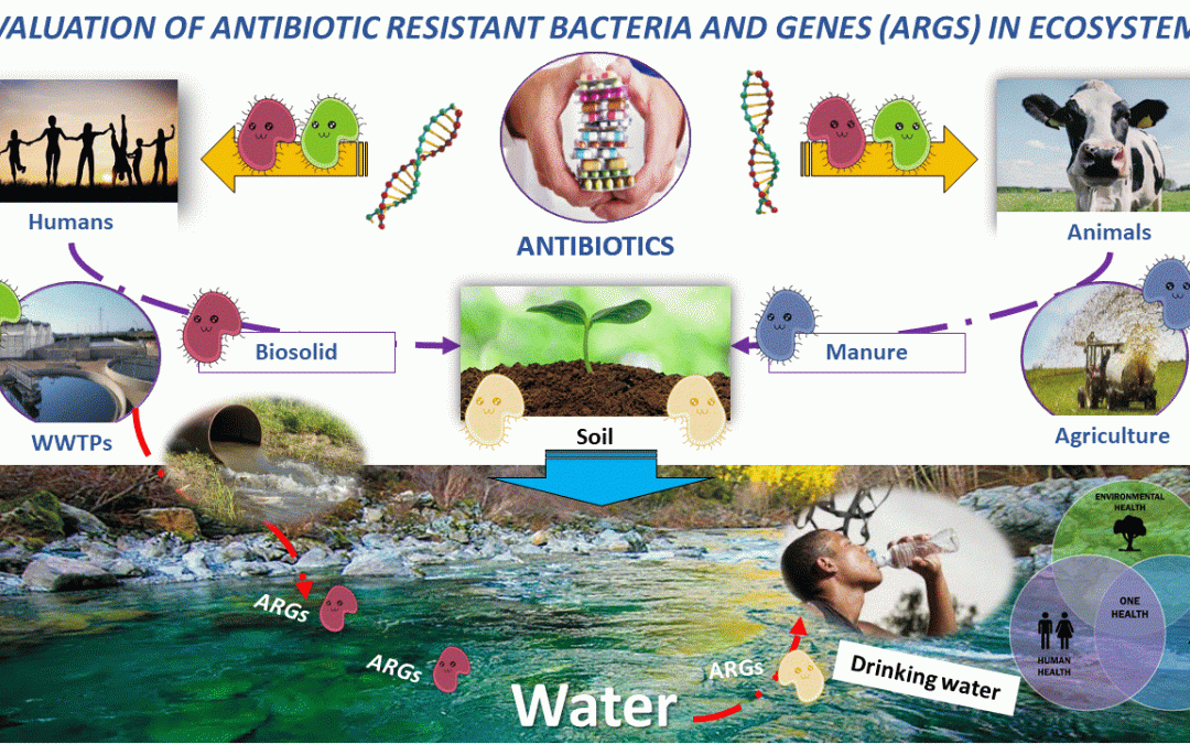 Settimana mondiale per l’uso prudente degli antibiotici: il contributo del CNR-IRSA in campo ambientale.