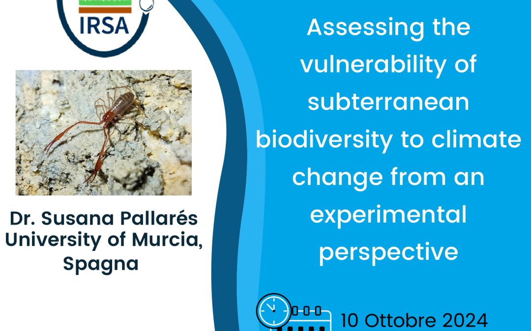 Webinar – Dr.ssa Susana Pallarés (University of Murcia, Spagna)