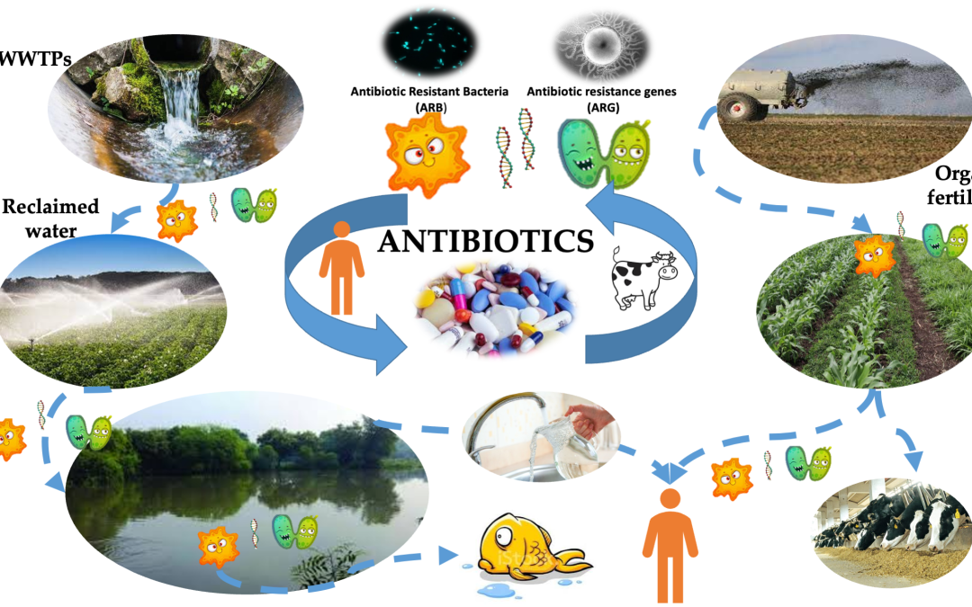 CNR-IRSA Guest Editor dello Special Issue: “Environmental Fate and Effects of Antibiotics and Antibiotic Resistance Genes” 2nd Edition