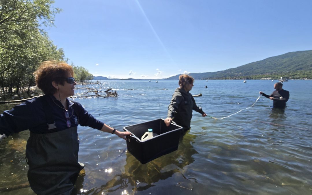 Una collaborazione Italia – Bulgaria per studiare il Lago Maggiore