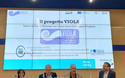 CNR Istituto di Ricerca sulle Acque al Med Water Lab 2025