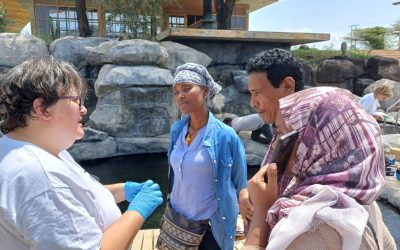 Completati con successo i due training sulla qualità delle acque superficiali in Etiopia, Progetto EU IWRM