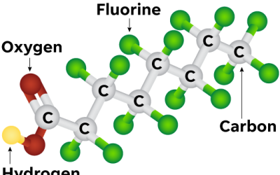 PFAS e nuove direttive europee: il contributo del CNR-IRSA al workshop Utilitalia